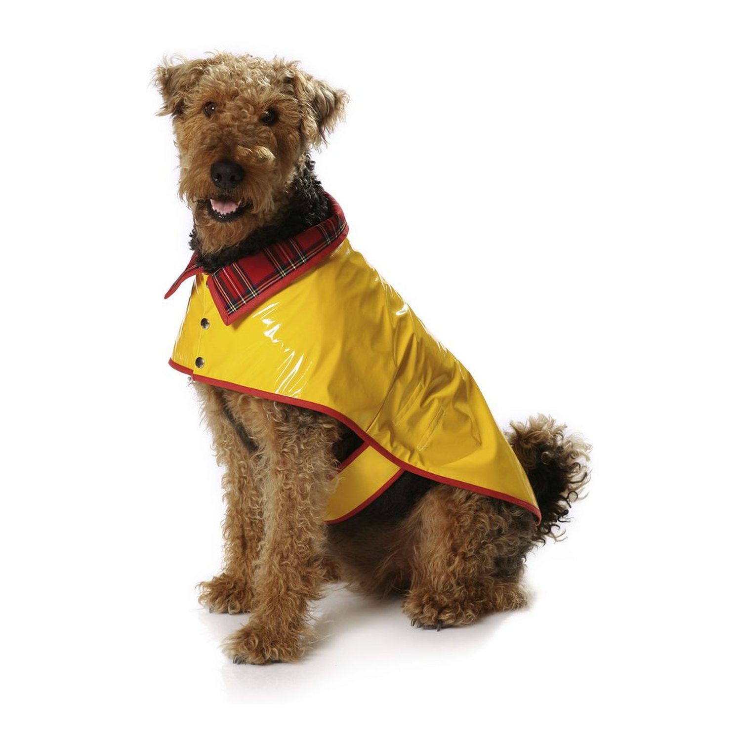 burda style Schnittmuster 7752: Hundemantel in fünf Varianten, Modellfoto 1