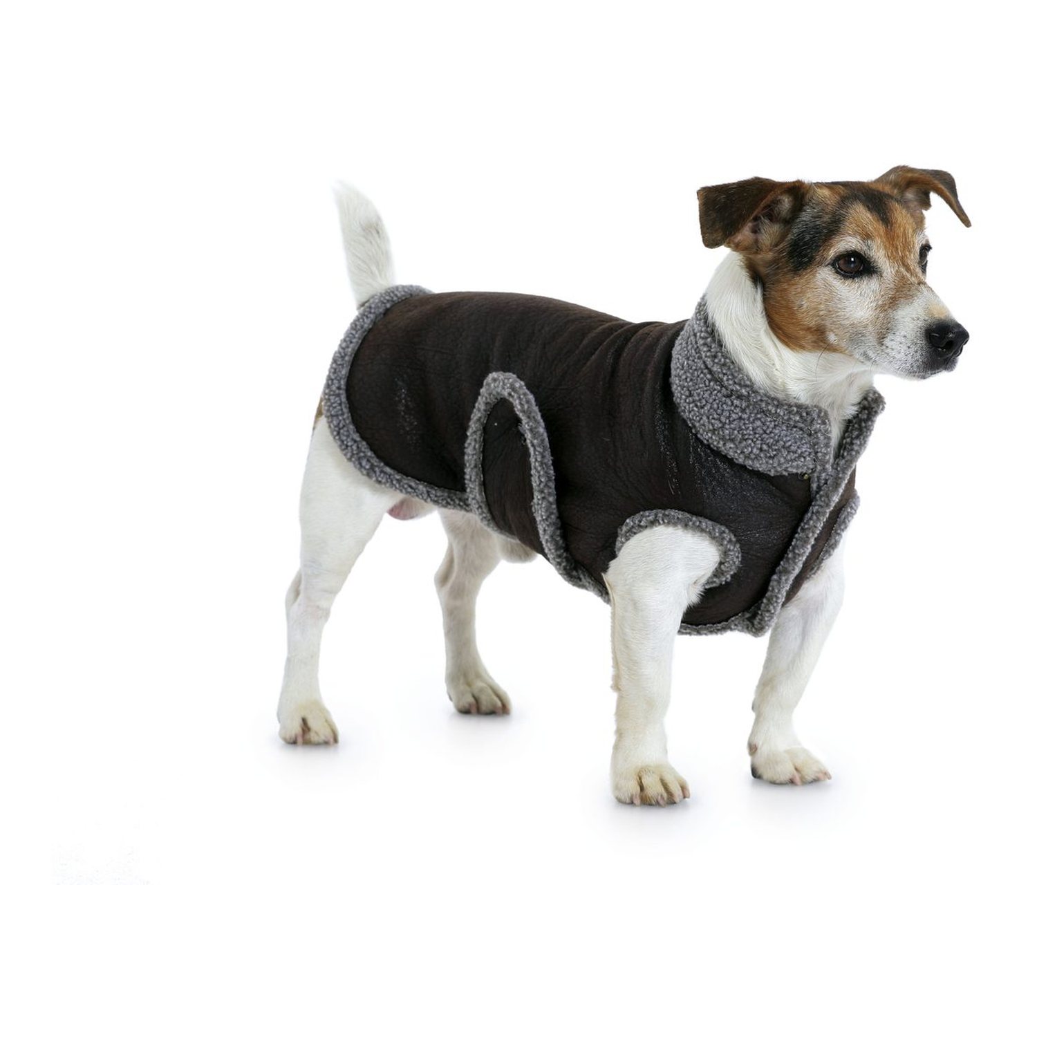 burda style Schnittmuster 7752: Hundemantel in fünf Varianten, Modellfoto 3