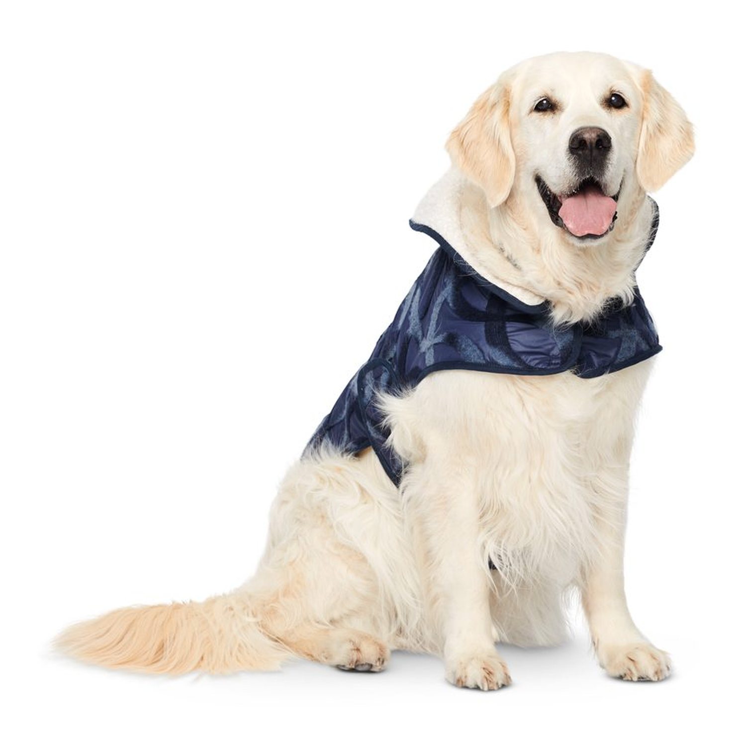burda style Schnittmuster 6049: Hundemantel mit Klettverschluss, Modellfoto 2